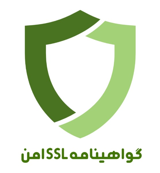 دامین اس اس ال